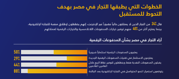 دراسة فيزا عن المشروعات الصغيرة في مصر